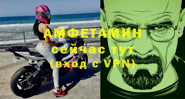 шишки Аркадак