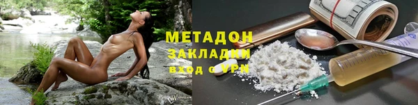 шишки Аркадак