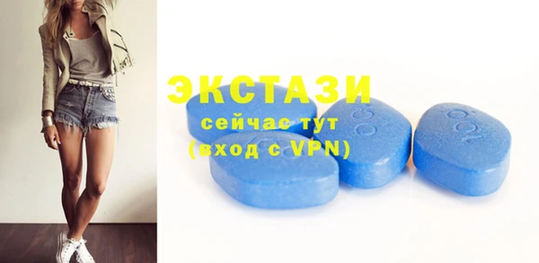 шишки Аркадак