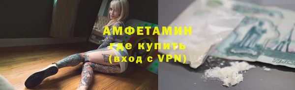 шишки Аркадак
