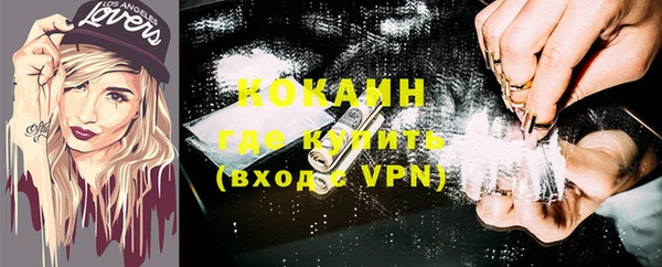 индика Нягань