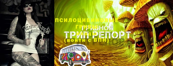 скорость mdpv Богданович