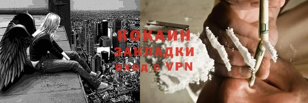 ПСИЛОЦИБИНОВЫЕ ГРИБЫ Арсеньев