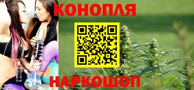 шишки Краснознаменск