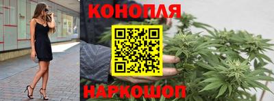шишки Краснознаменск