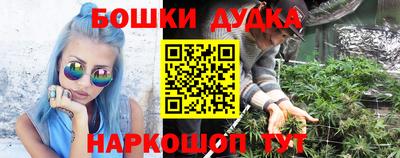 шишки Краснознаменск