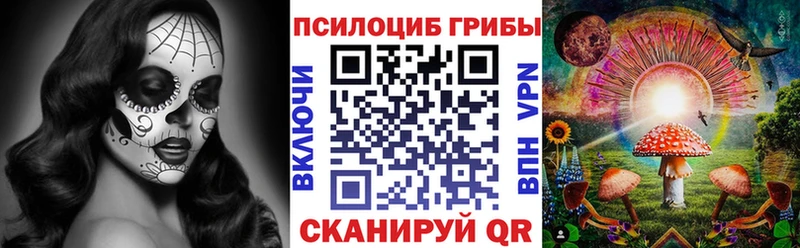 Галлюциногенные грибы MAGIC MUSHROOMS  продажа наркотиков  Кировск 