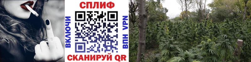 Шишки марихуана индика  кракен вход  Кировск 